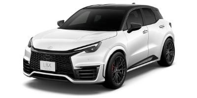 LBXモリゾウRR ビスポークビルド