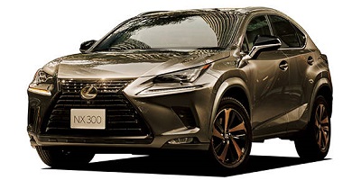 NX300 特別仕様車ブロンズエディション