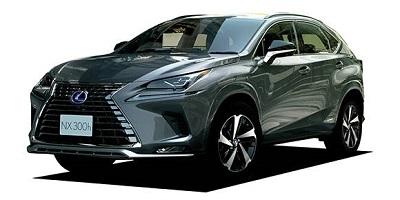 NX300 特別仕様車スパイス＆シック