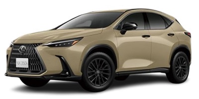 NX350h オーバートレイル