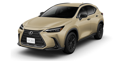 NX350オーバートレイル