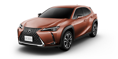 UX300hバージョンL